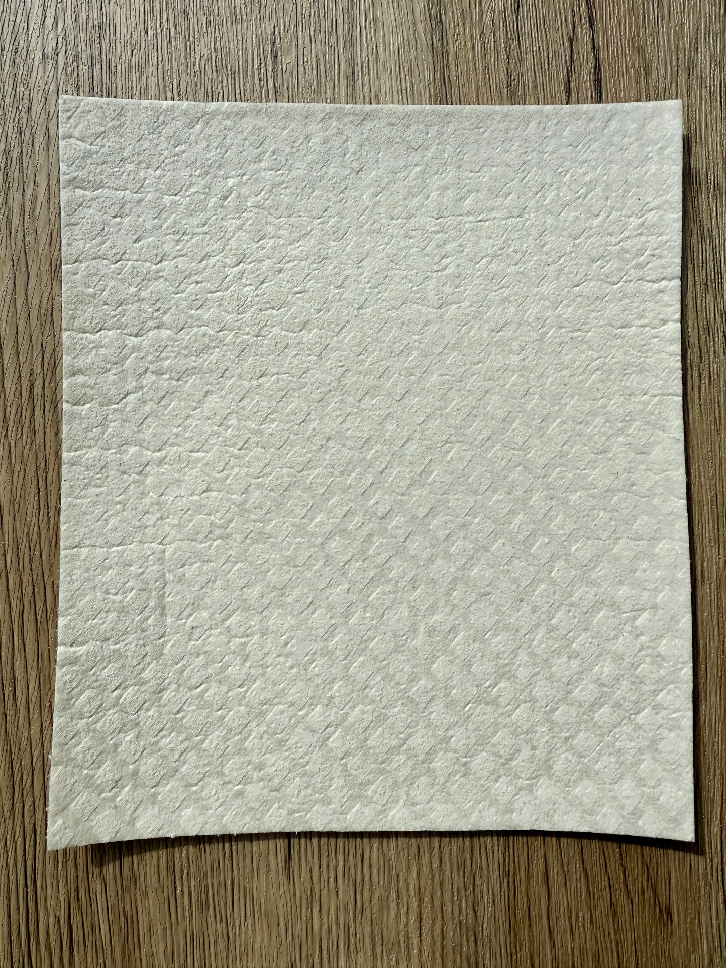 Blue Hare and Foliage Dish Cloth (x2)